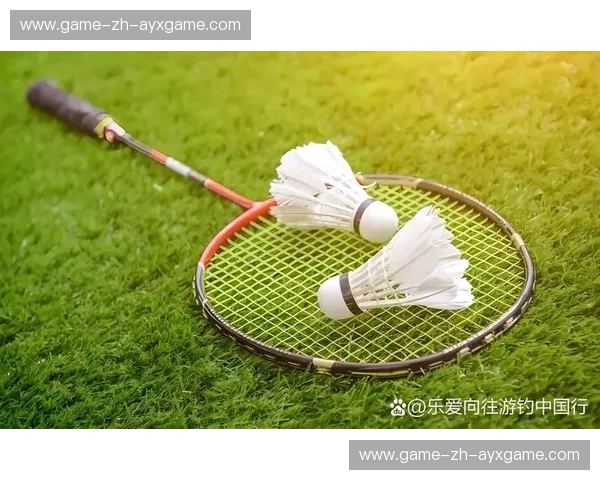 羽毛球控球率：把握比赛节奏的无形力量